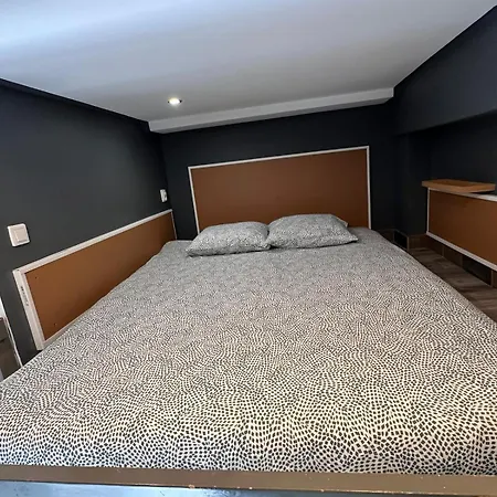 Golebia-genius Lejlighed Poznań