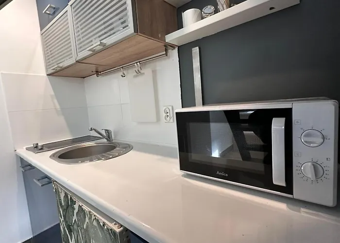 Golebia-genius Appartamento Poznań