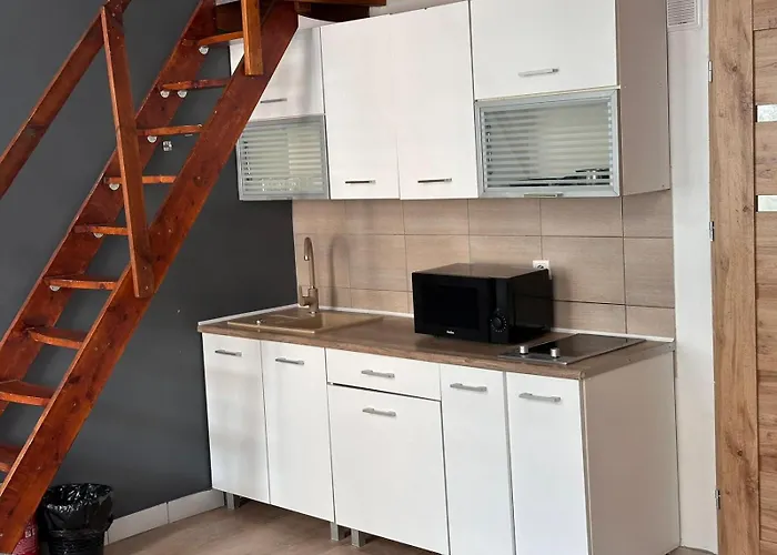 Golebia-genius Апартаменты *